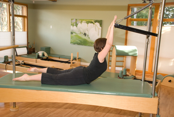 The reformer