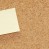 cork board with blank note attached with thumb pin..