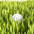 Golf Ball in Grass